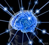 یادگیری بدون مغز در اعماق دریا