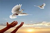 رهایی 9 محکوم از قصاص نفس در سال 1401