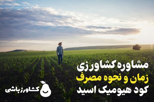 در مورد زمان و نحوه مصرف هیومیک اسید بیشتر بدانید