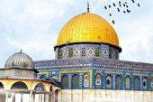 ببینید | آینده روشن فلسطین