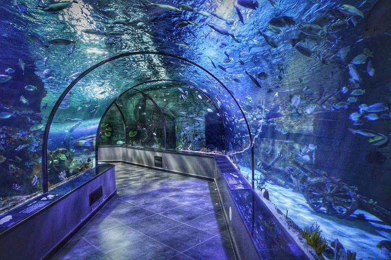 انزلی کجا بریم؟