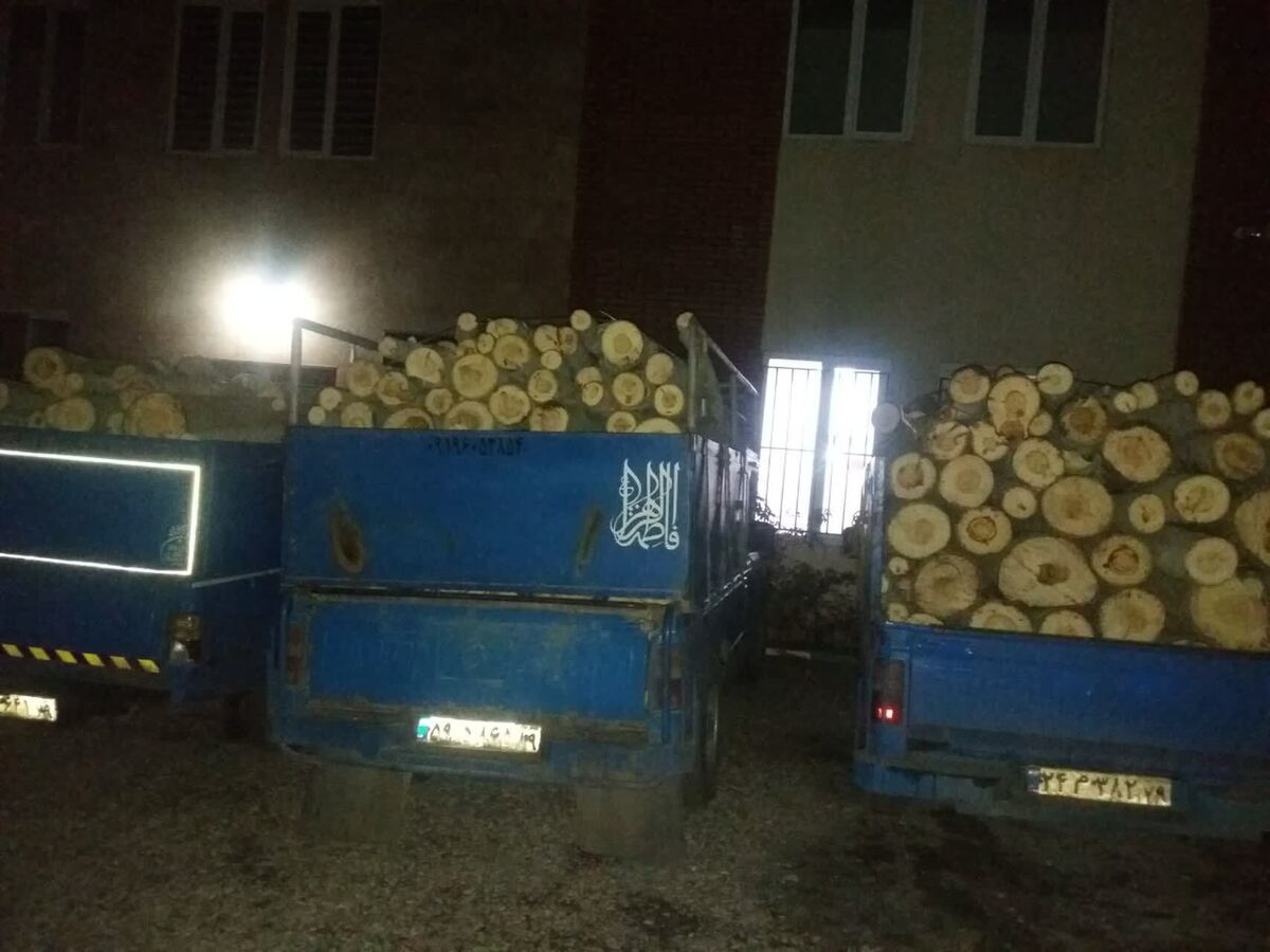کشف و توقیف محموله بزرگ چوب قاچاق در شهرستان طالقان