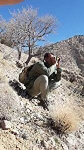 آراء سبز جایگزین مجازات کیفری