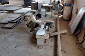 افزایش سه برابری فرصت شغلی تعاونی‌های جدید در خراسان جنوبی