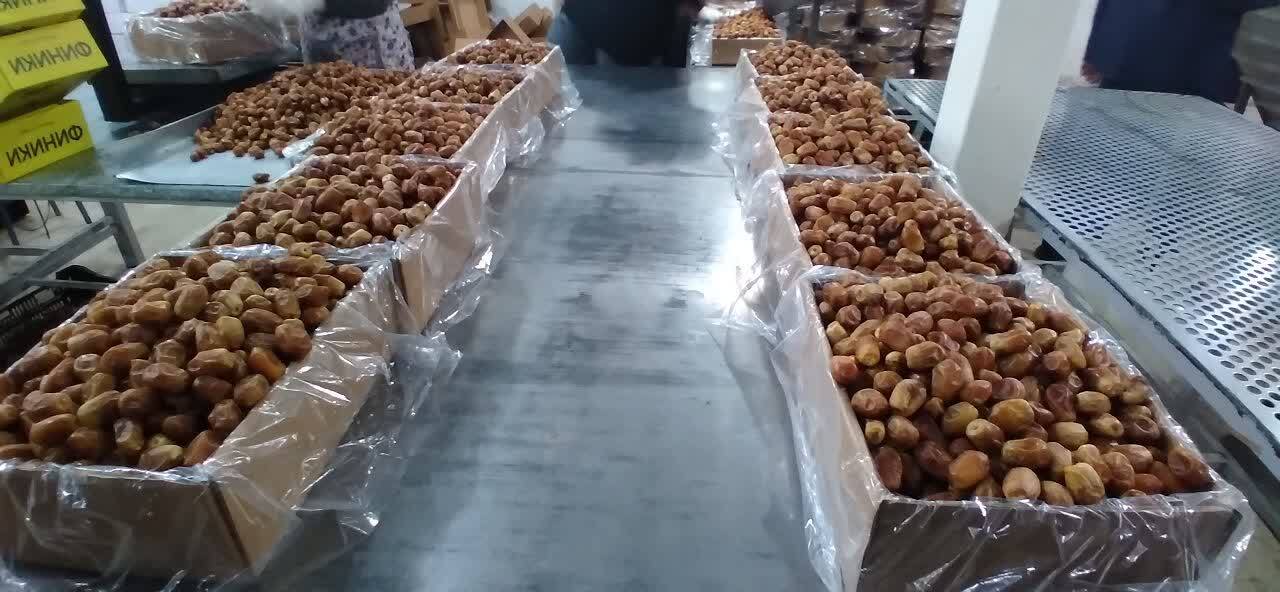 نشست مشترک معاون دیپلماسی اقتصادی وزارت امورخارجه با فعالان اقتصادی استان بوشهر