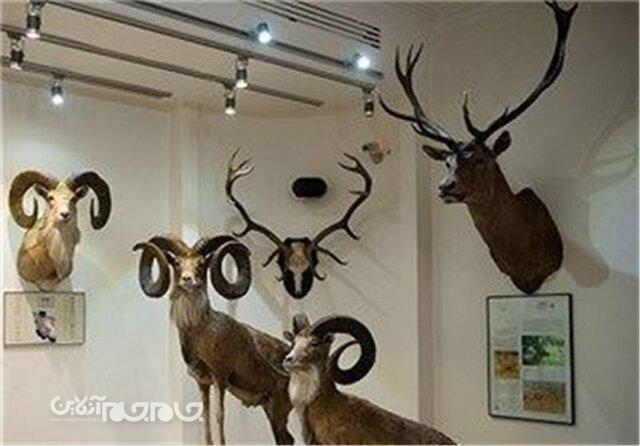 بیدار شدن پروژه موزه حیات وحش خراسان شمالی از خواب ۱۰ ساله