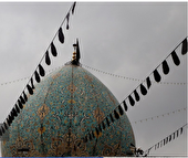 شیراز در سوگ شهادت امام هادی (ع)