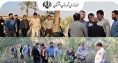 بازدید فرماندار دشتستان از نخیلات