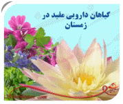 گیاهان زمستانی (1).jpg