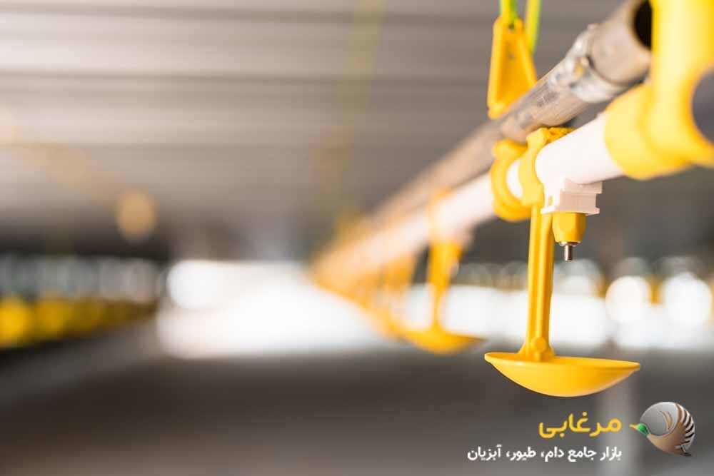 جلوگیری از شکست مرغداری با 6 تجهیزات مهم