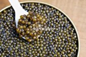 استحصال خاویار برای اولین بار در استان آذربایجان شرقی