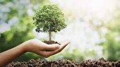 اجرای طرح مردمی کاشت یک میلیارد درخت در کشور