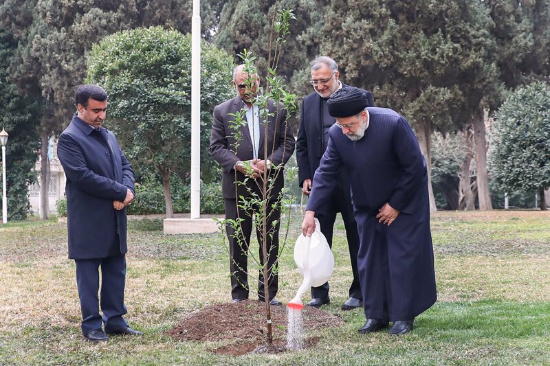 ببینید | کاشت درخت توسط رئیسجمهور در روز درختکاری ببینید | کاشت درخت توسط رئیسجمهور در روز درختکاری
