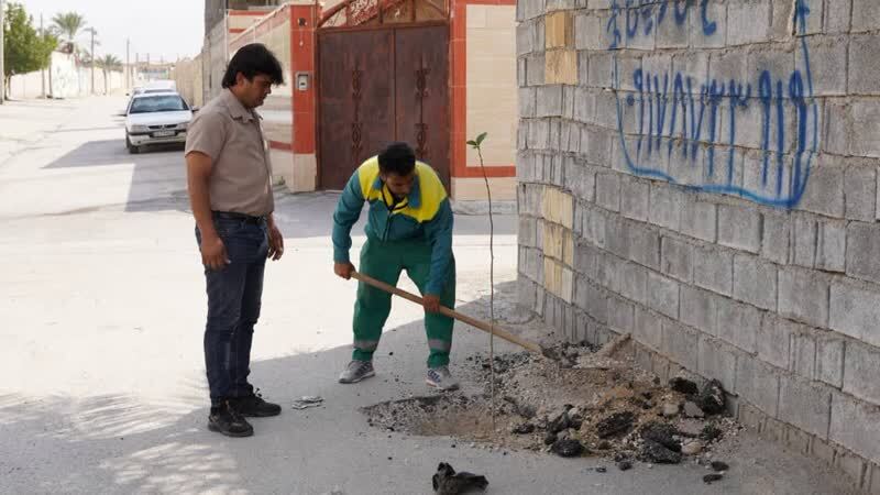 ترویج فرهنگ درختکاری ترویج فرهنگ درختکاری