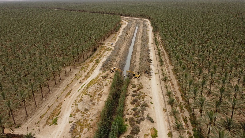 نجات تالاب حله نجات تالاب حله