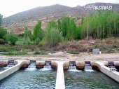 تولید آبزیان در آذربایجان شرقی به ۱۰ هزار تن رسید