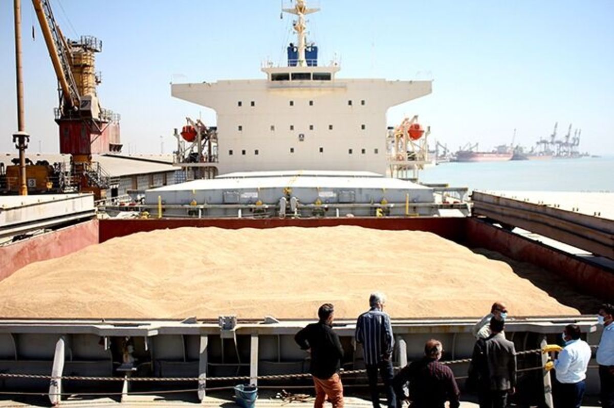 بازرس کل استان هرمزگان در جریان بازدید از بندر شهید رجایی برای تعیین تکلیف یک کشتی حامل  ۶۶هزار تن گندم تا پایان هفته مهلت داد.