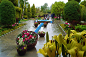 برگزاری ۲۰ عنوان دوره‌ آموزشی فضای سبز شهری و خانگی در سال گذشته