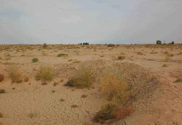 بمب‌های خاموش در اطراف تهران |  فراگیری بیابان‌زایی در کشور