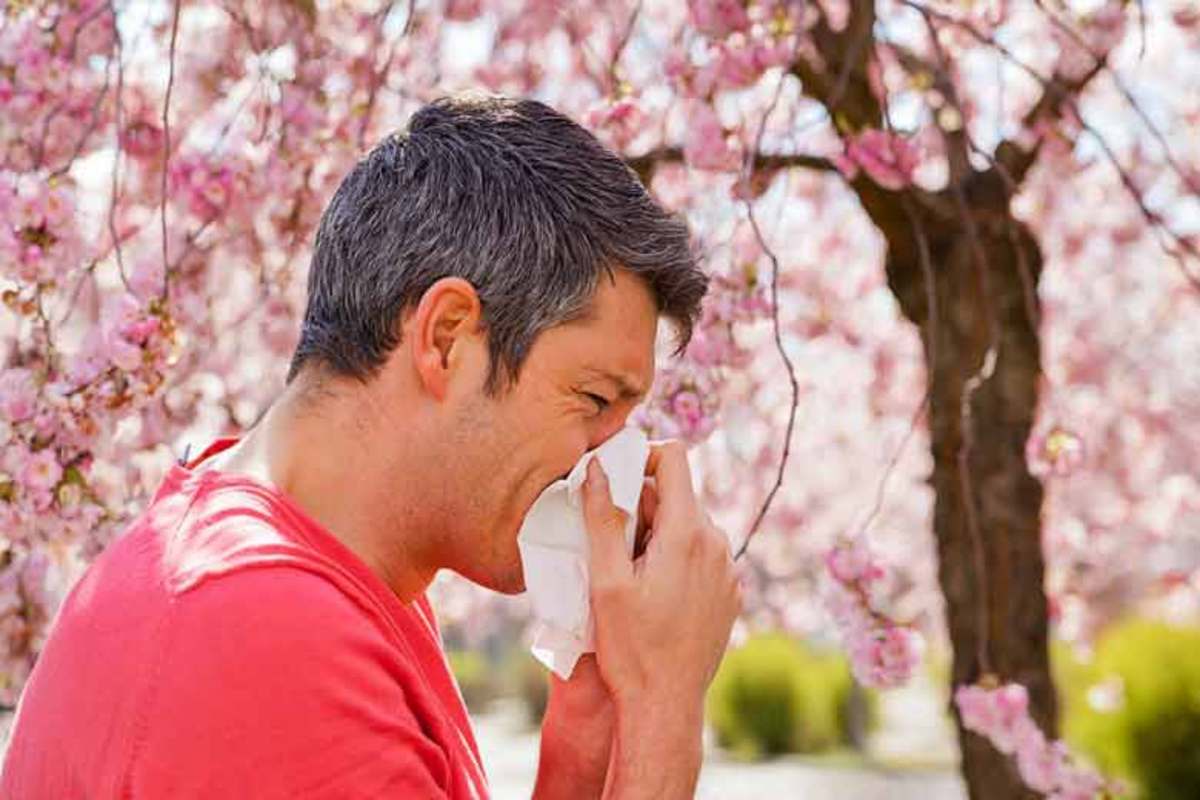 بهار  و تابستان برای مبتلایان به آلرژی فصل ایده‌آلی نیست، زیرا نفس کشیدن برای برخی از آنها دشوار می‌شود در چنین شرایطی کارشناسان به افراد مبتلا به آلرژی فصلی توصیه می‌کنند با رعایت نکاتی پیامدهای این آلرژی را به حداقل برسانند.