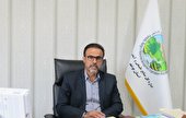 بوشهر؛پیشگام طرح مردمی کاشت یک میلیارد درخت