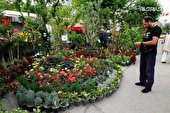 گزارش تصویری | نمایشگاه گل و گیاه تهران