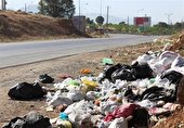 مغز در تسخير ميکروپلاستيک‌ها