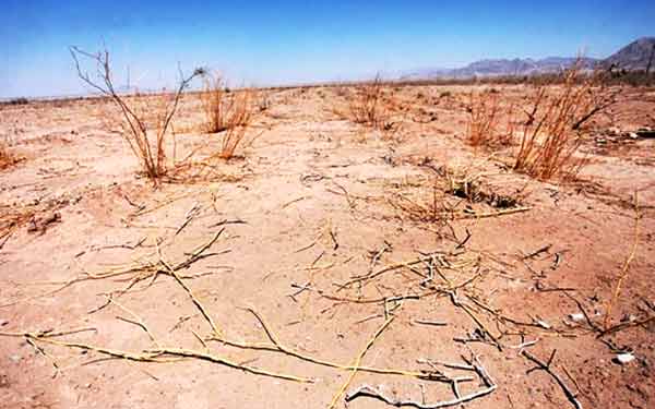 افزایش توفان‌های گرد و غبار‌ | ‌بیابان‌زایی روی دور تند