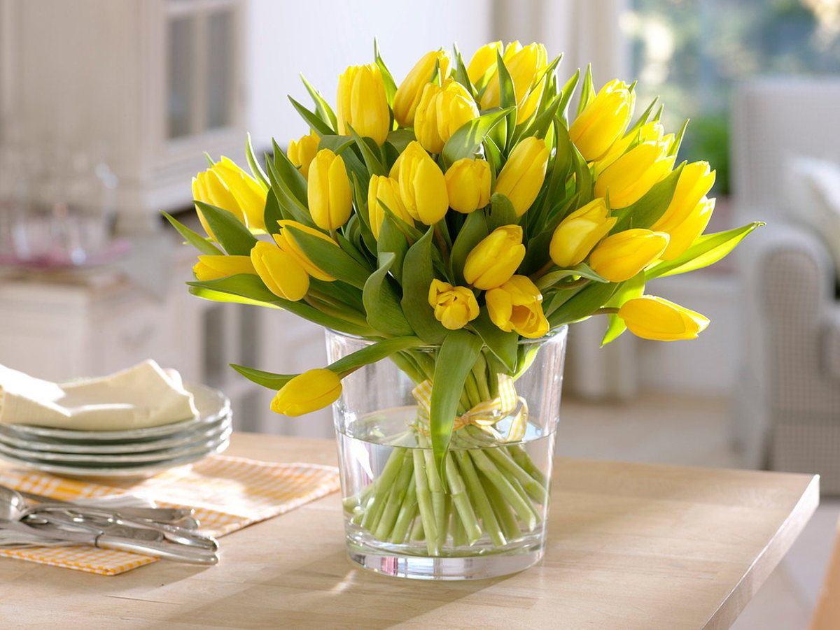 لاله یکی از زیباترین گل‌های بهاری است. گلی خوش‌آب‌ورنگ که جلوه‌ای چشم‌نواز دارد و در روزهای بهار می‌تواند زیبایی خانه شما را صدچندان کند.