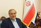 دیپلماسی فرهنگی پشتوانه ای ارزشمند برای سیاست خارجی کشور است