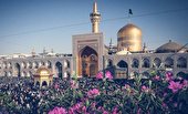 ببینید | یا غریب...