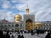 ببینید | هر چه گفتم بی خیالش، نیترم!
