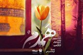 صوت | همدم