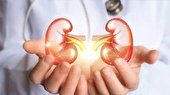 رابطه‌ کشف شده میان کلیه‌ ها و فشار خون