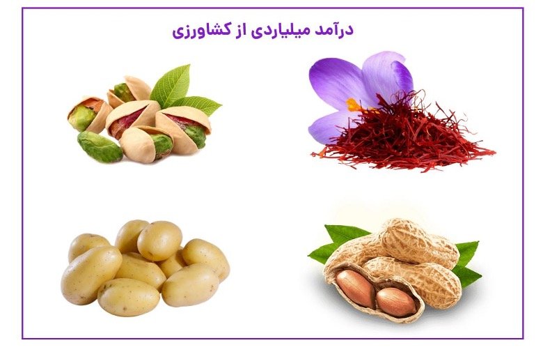 چی بکاریم سود کنیم؟ درآمد میلیاردی از کشاورزی چگونه امکان پذیر است؟
