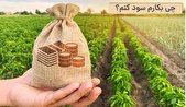 چی بکاریم سود کنیم؟ درآمد میلیاردی از کشاورزی چگونه امکان پذیر است؟