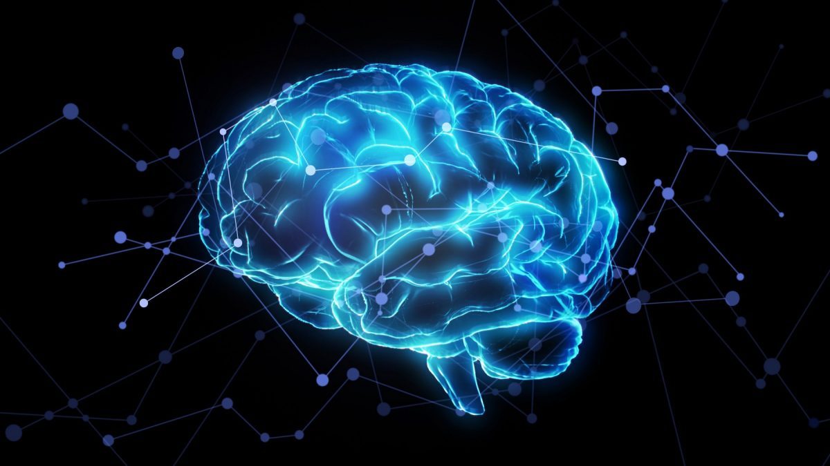 دانشمندان با ردیابی فعالیت عصبی با آخرین پیشرفت‌ها در روش‌های تصویربرداری مغز، بینش جدیدی در مورد بخشی از مغز که به ما حس جهت می‌دهد به دست آورده‌اند. این یافته‌ها چگونگی جهت‌گیری مغز را در محیط‌های در حال تغییر روشن می‌کند و حتی فرآیندهایی که ممکن است با بیماری‌های دژنراتیو مانند زوال عقل اشتباه پیش برود که باعث می‌شود، افراد احساس گم شدگی و سردرگمی کنند.