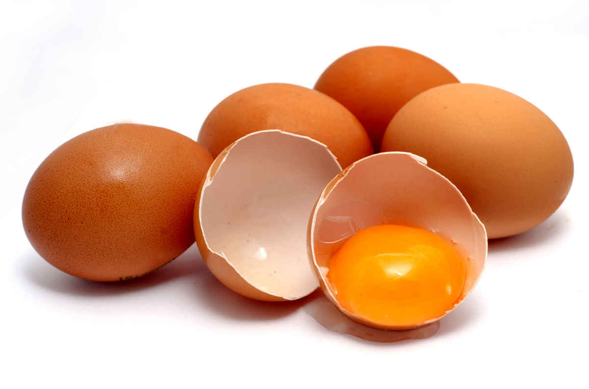 تخم‌مرغ از جمله پروتئین‌های نسبتا ارزانی است که به نوعی قوت غالب مردم به شمار می‌رود و بیشتر ما در طول هفته لااقل یکی دو بار تخم‌مرغ مصرف می‌کنیم.