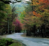 صدور موافقت اصولی مجوز ساخت وساز و اجرای طرح گردشگری نیست