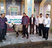 ذبح عظیم به نیت سلامتی امام زمان (عج)