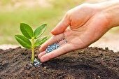 توزیع بیش از چهار هزار تن انواع کود شیمیایی بین کشاورزان ایلامی