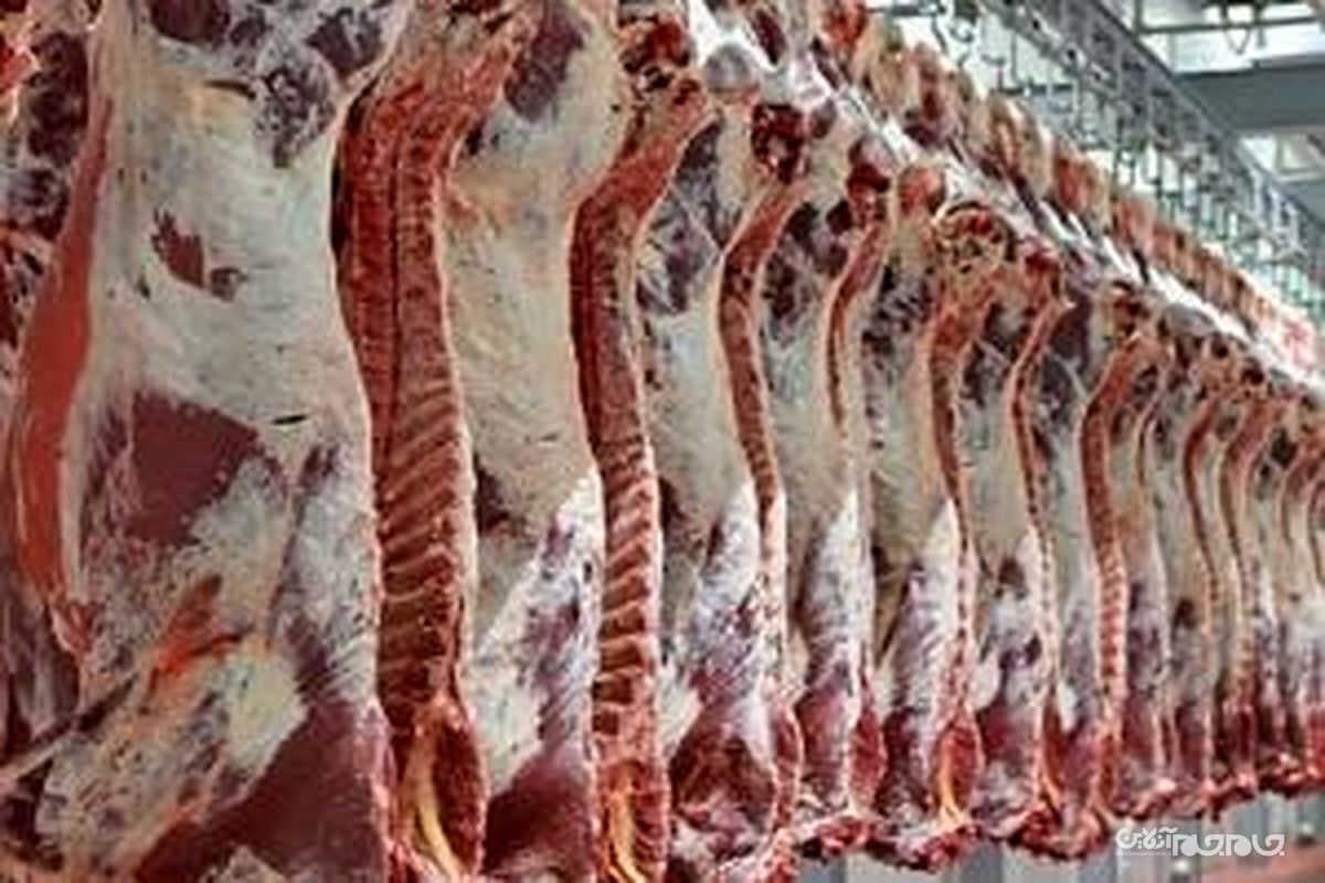 دستبند پلیس بر دستان عامل توزیع گوشت های آلوده در بندرعباس