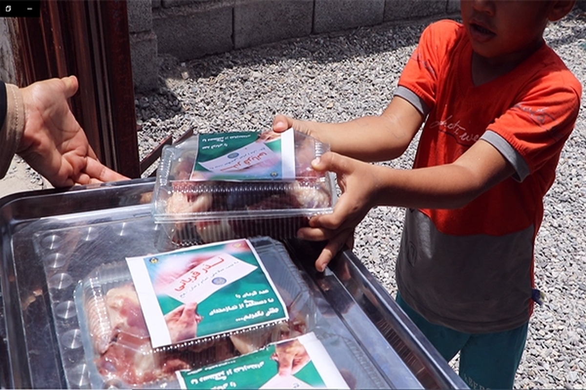 مدیرکل کمیته امداد استان هرمزگان از توزیع ۴۳ هزار و ۷۱۰ کیلو گوشت قربانی بین نیازمندان در پویش 