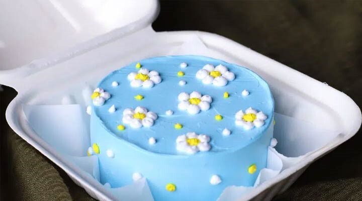 بنتو کیک چیست؟ هر آنچه باید بدانید