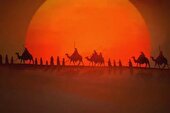 ماجرای گریه امام حسین (ع) پس از رسیدن به کربلا و پشیمانی حُر