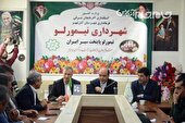 سطح زیر کشت سیر در آذربایجان شرقی 800 هکتار است