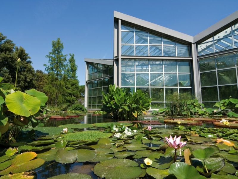 چرا به فرانکفورت سفر کنیم؟ چرا به فرانکفورت سفر کنیم؟