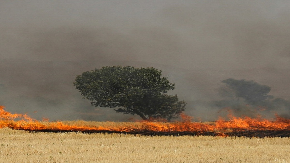 ۱۰ کشاورز نظرآبادی که مزارع را پس از برداشت محصول آتش زدند، به مراجع قضایی معرفی شدند.