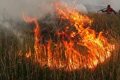 خیزش گسترده اقشار مختلف برای مهار آتش سوزی جنگل های مریوان ادامه دارد