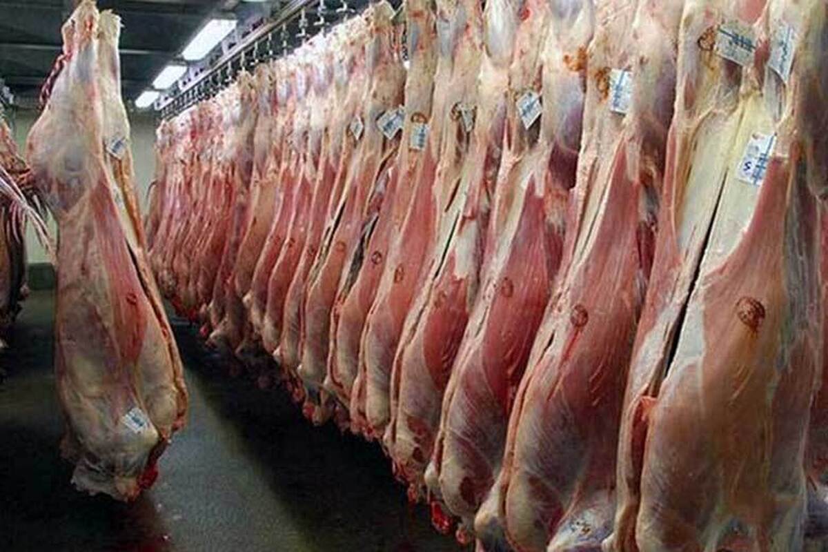 بحران‌ سازی کاذب در بازار گوشت قرمز